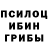 Галлюциногенные грибы Magic Shrooms Ghassan Shehadeh